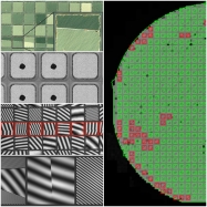 Diced Wafer Inspection